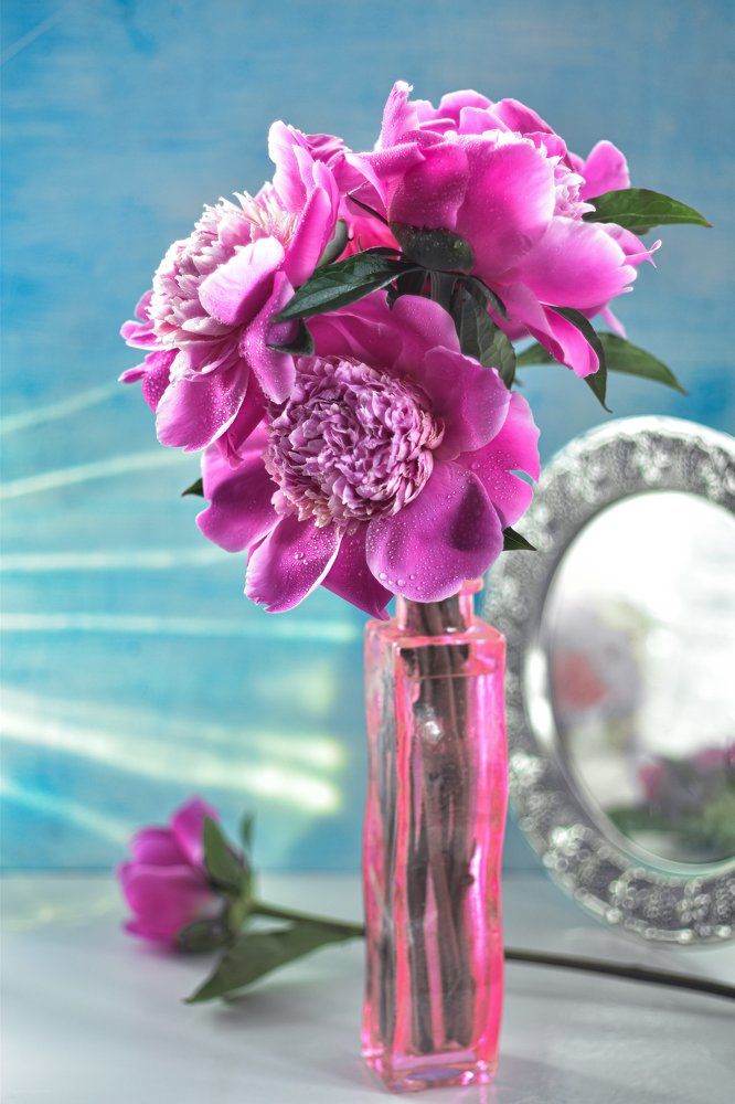 Photograph by Ксения Помогаева