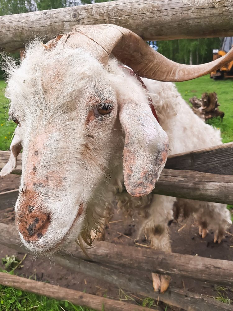 Photograph by Iljana Luksa