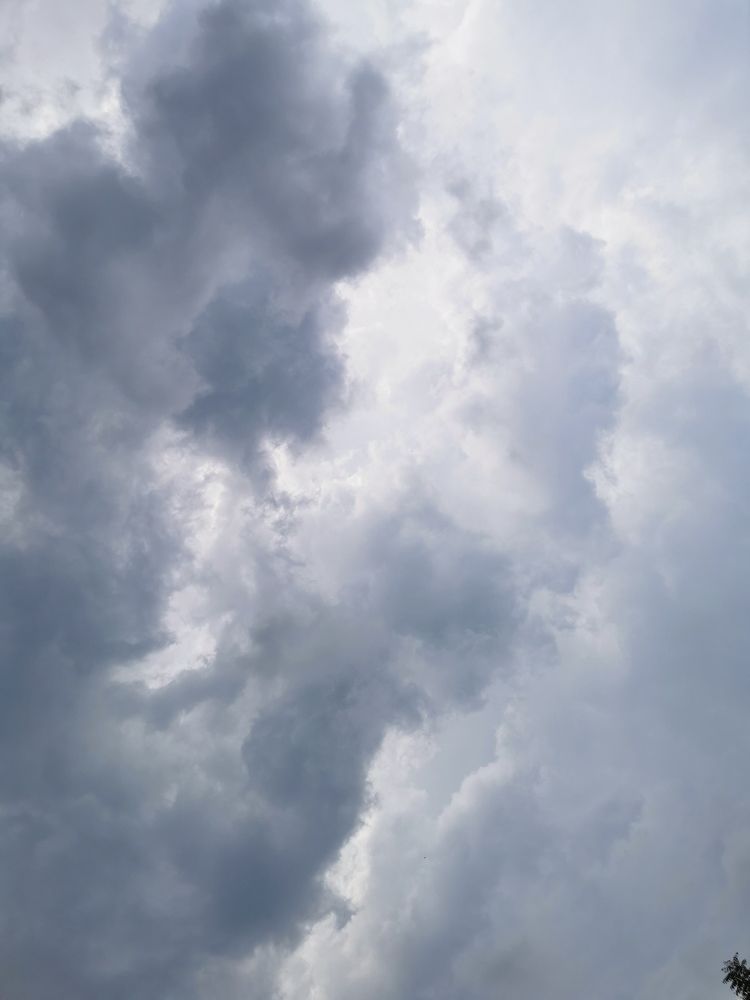 Photograph by Sadman Sakib