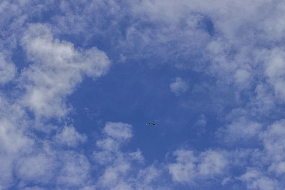 Photograph by Александра Шайдурова