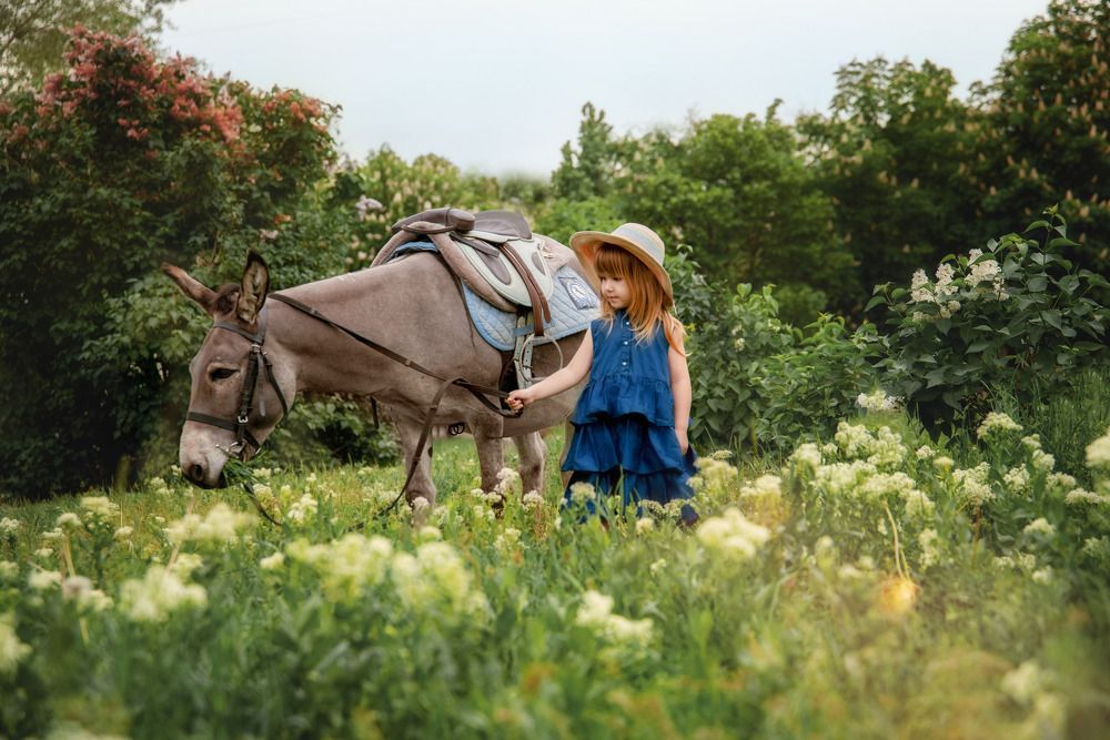 Photograph by Наталия Шляпина