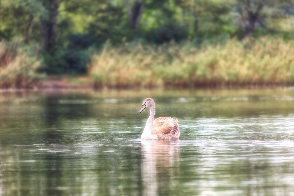 Photograph by Владимир Кваша