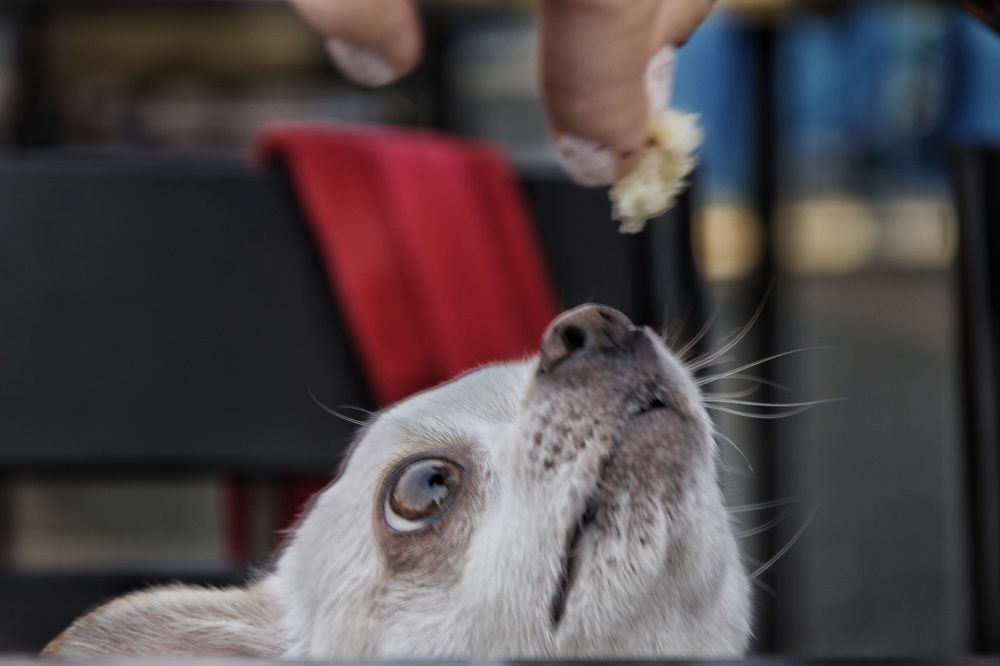 Photograph by Семён Личман