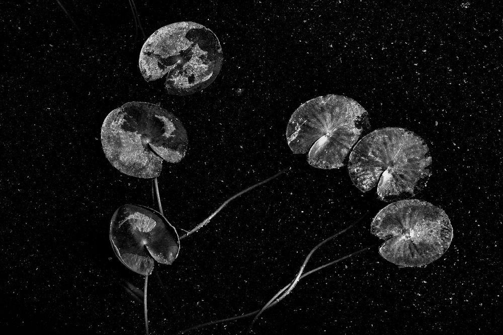 Фотография автора Eimar Kull