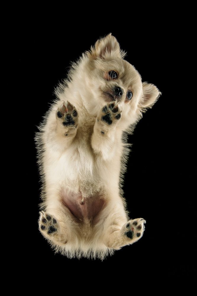 Photograph by Raisa Belova