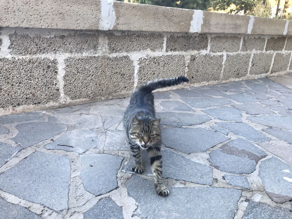 Photograph by Raisa Belova