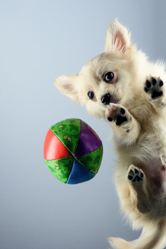 Photograph by Raisa Belova