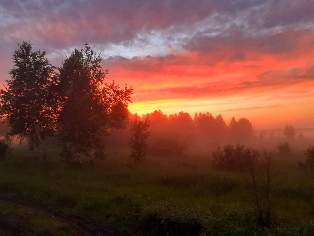 Июньский вечер