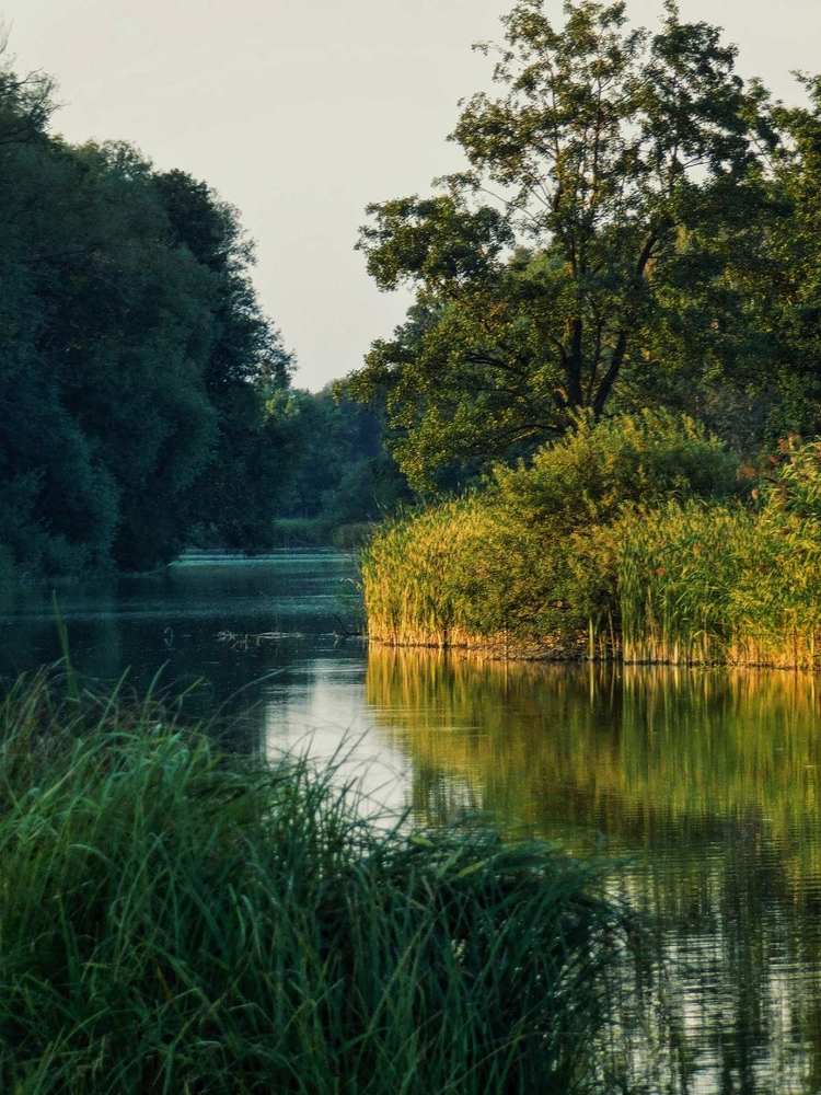 Photograph by Ася