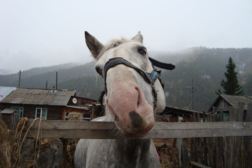 Photograph by татьяна надточий