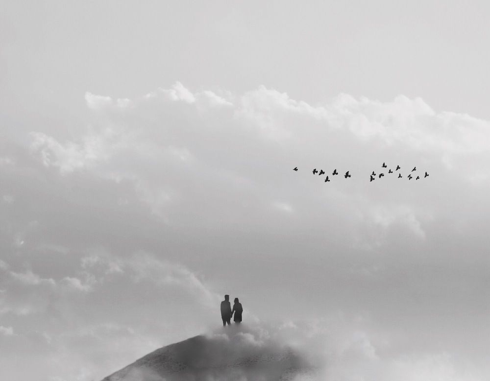 Фотография автора Alireza Bagheri sani