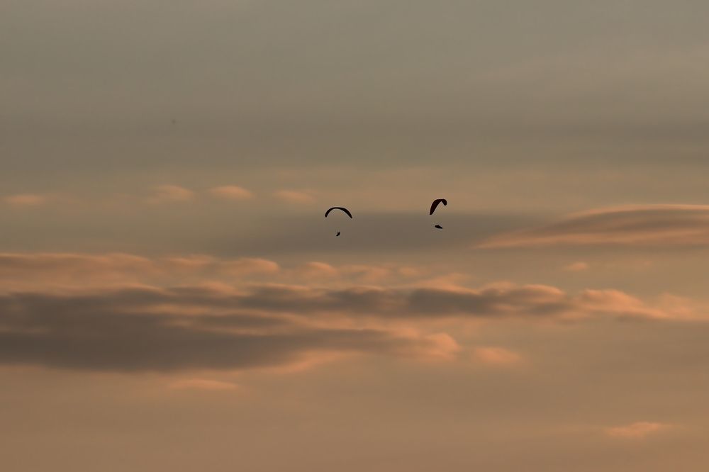 Фотография автора Alireza Bagheri sani