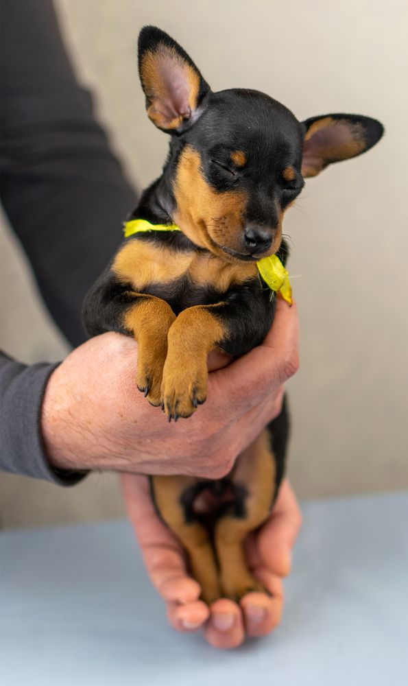 Photograph by Ольга Доловова