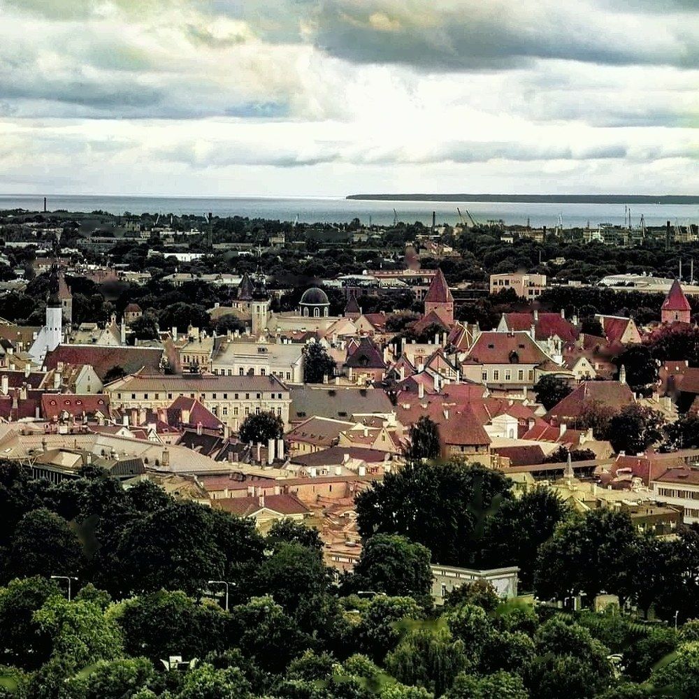 Photograph by Алексей Стрижаков