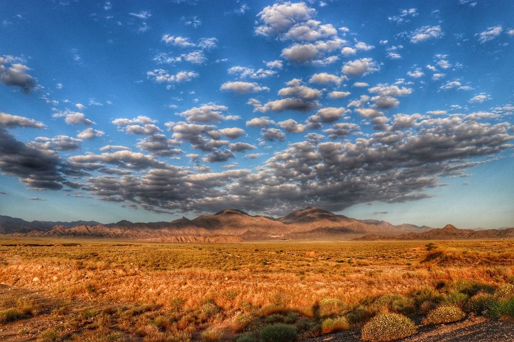 Фотография автора Alireza Bagheri sani