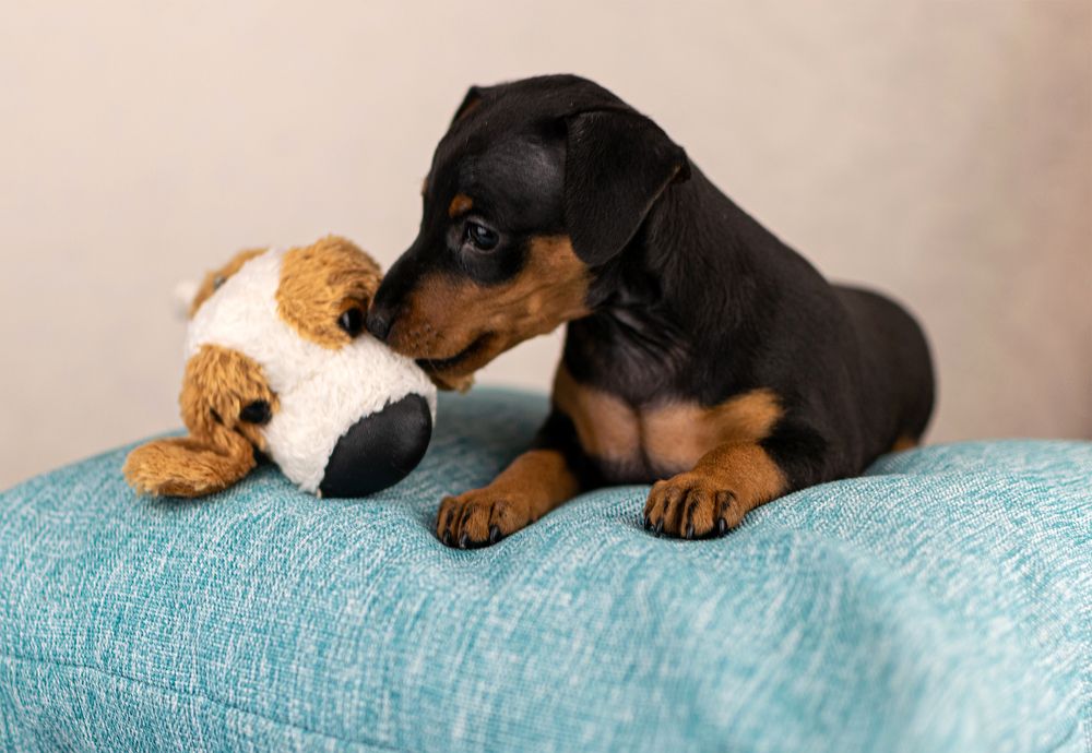 Photograph by Ольга Доловова