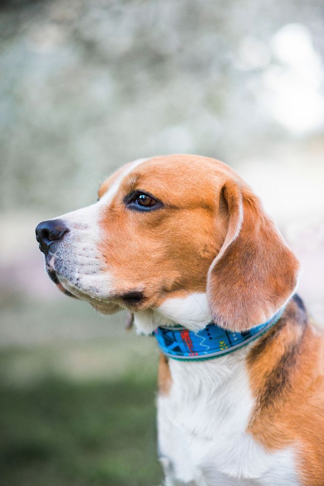 Photograph by Наталия Шляпина