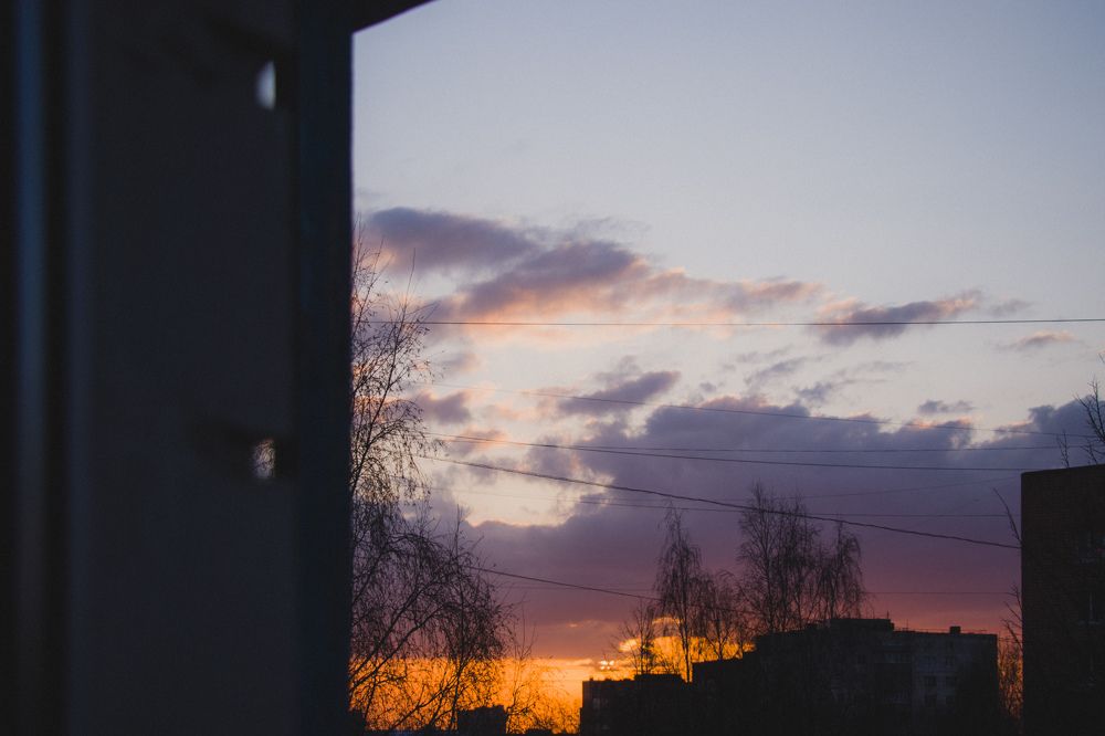 Photograph by Nikita Oshvintsev