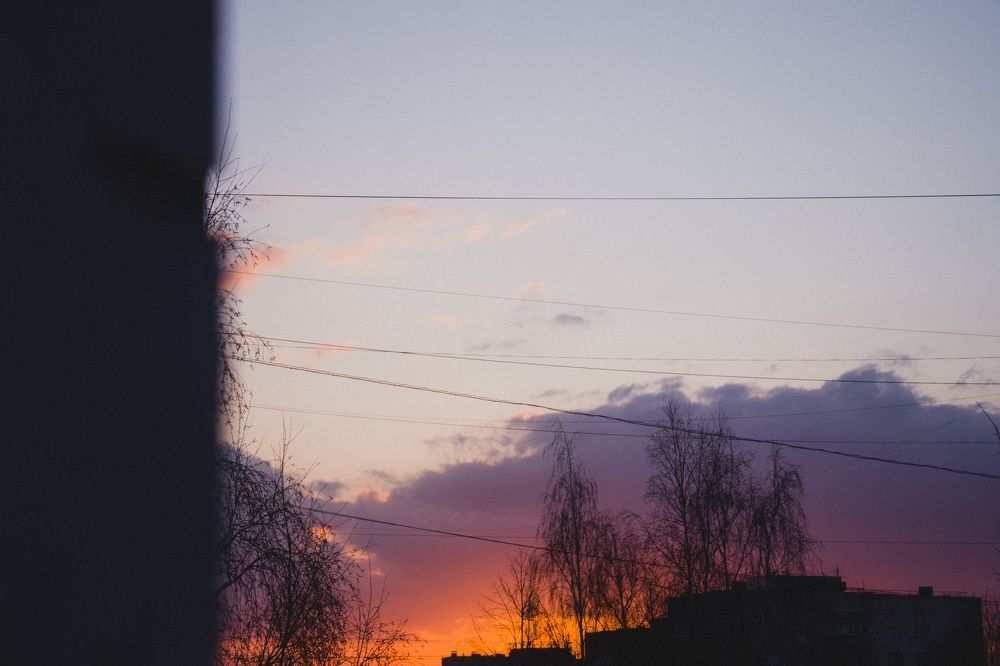 Photograph by Nikita Oshvintsev