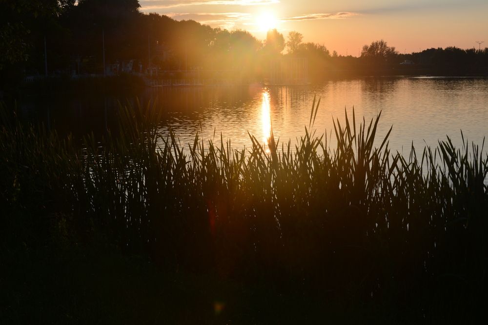 Photograph by Анатолий Зеленский