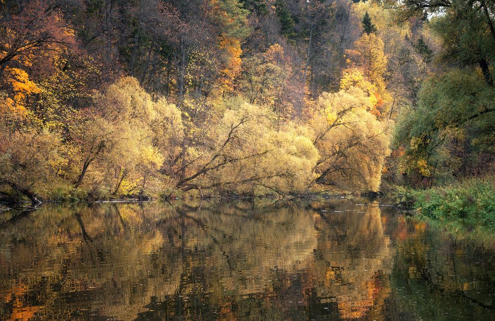 Photograph by Максим Мозжухин