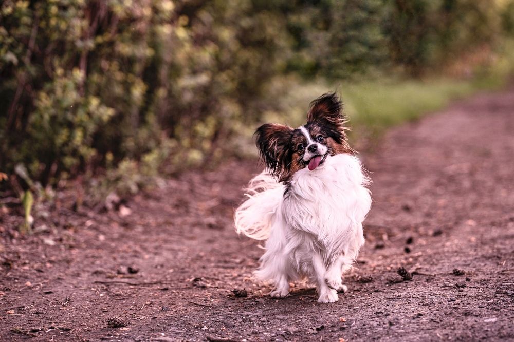 Photograph by Юлия Честнова