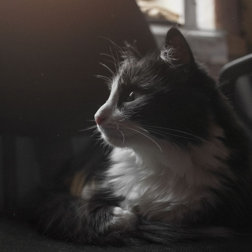 Photograph by Елена Жакова