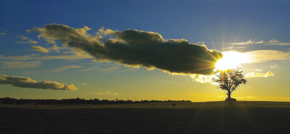 Photograph by Juris Buklovskis