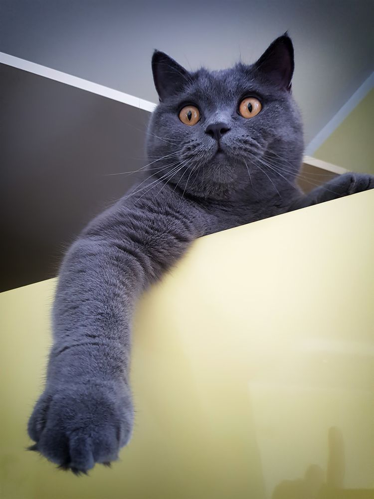 Photograph by Guntars