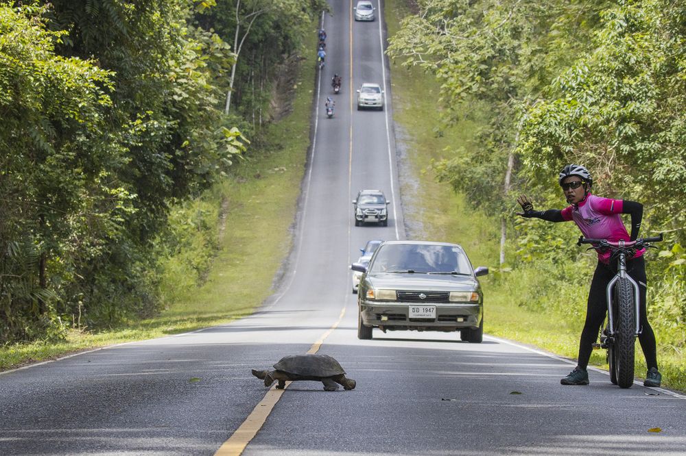 Photograph by Wei fu