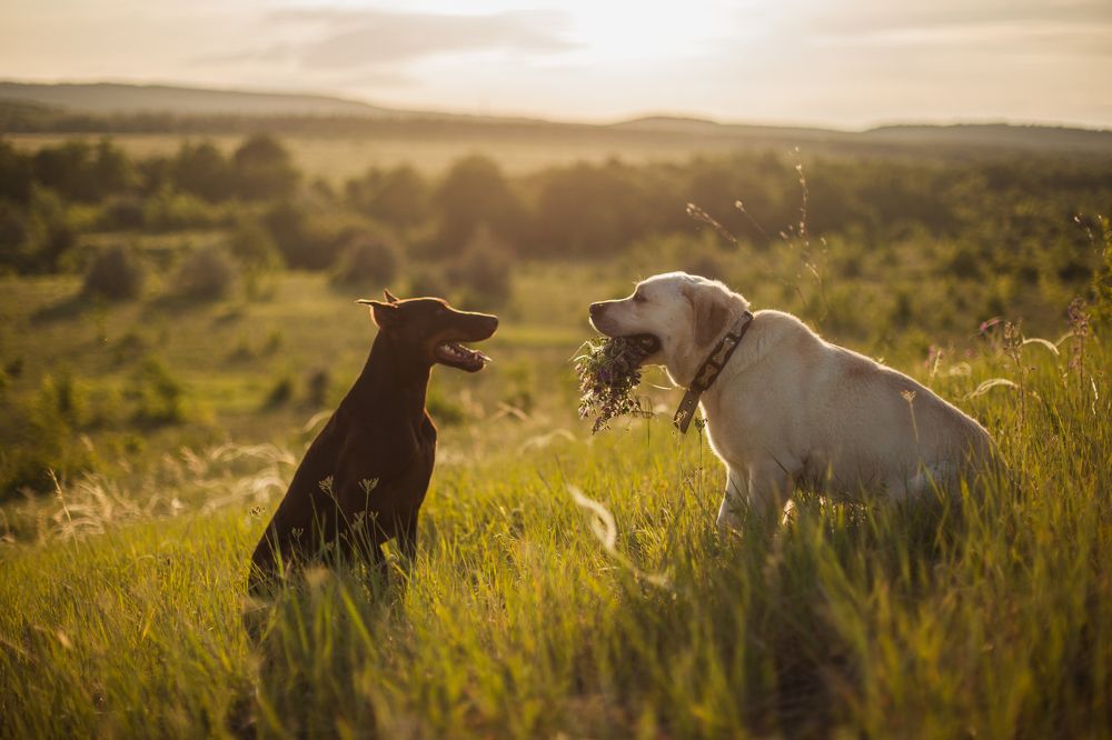 Photograph by Артур Хасанов