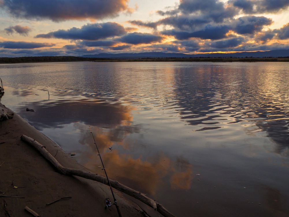 Фотография автора Olena Vorotyntseva