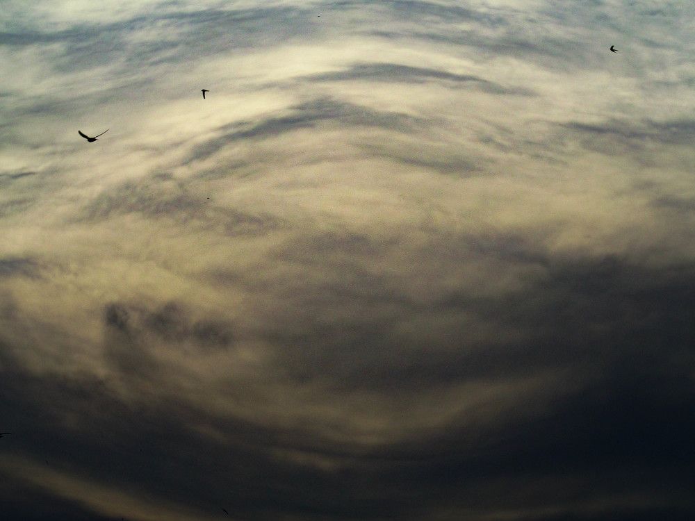 Photograph by Юрій Ніколаєв