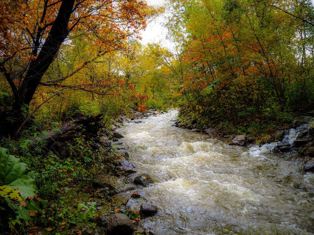 Фотография автора Olena Vorotyntseva