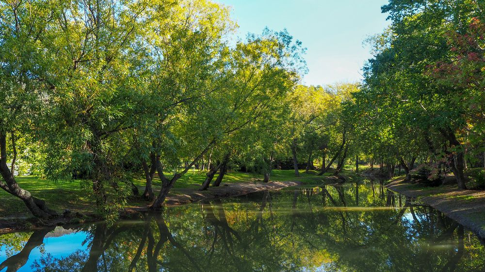 Фотография автора Olena Vorotyntseva