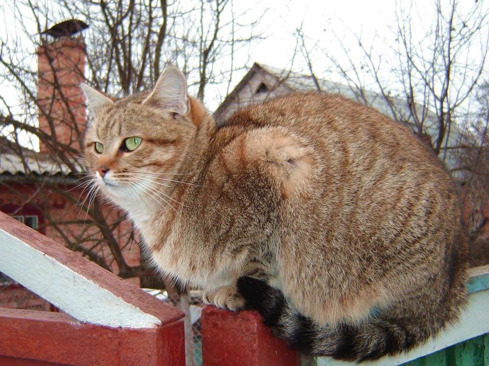 Photograph by TERESA Yurkevich