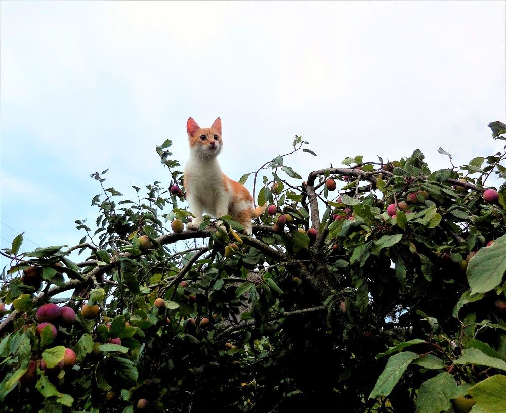 Photograph by TERESA Yurkevich