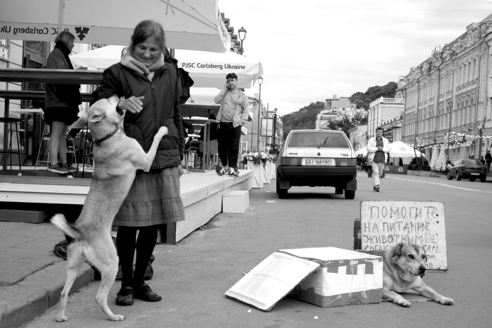 Фотография автора Юлия Вычужанина