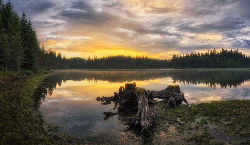 Photograph by Эрнест Вахеди