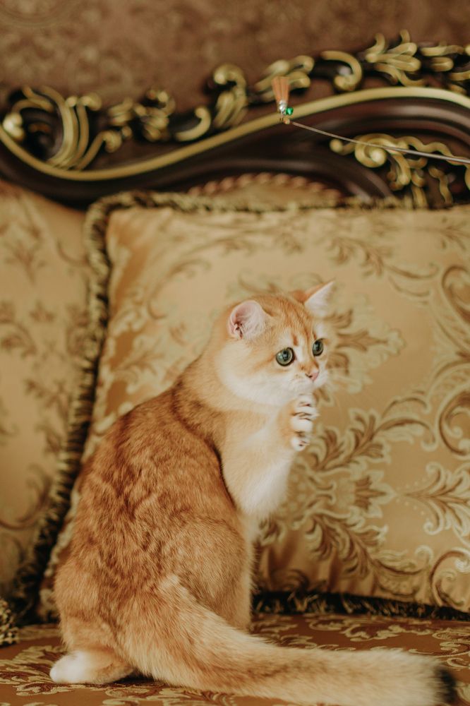 Photograph by Катерина