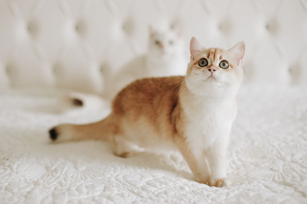 Photograph by Катерина