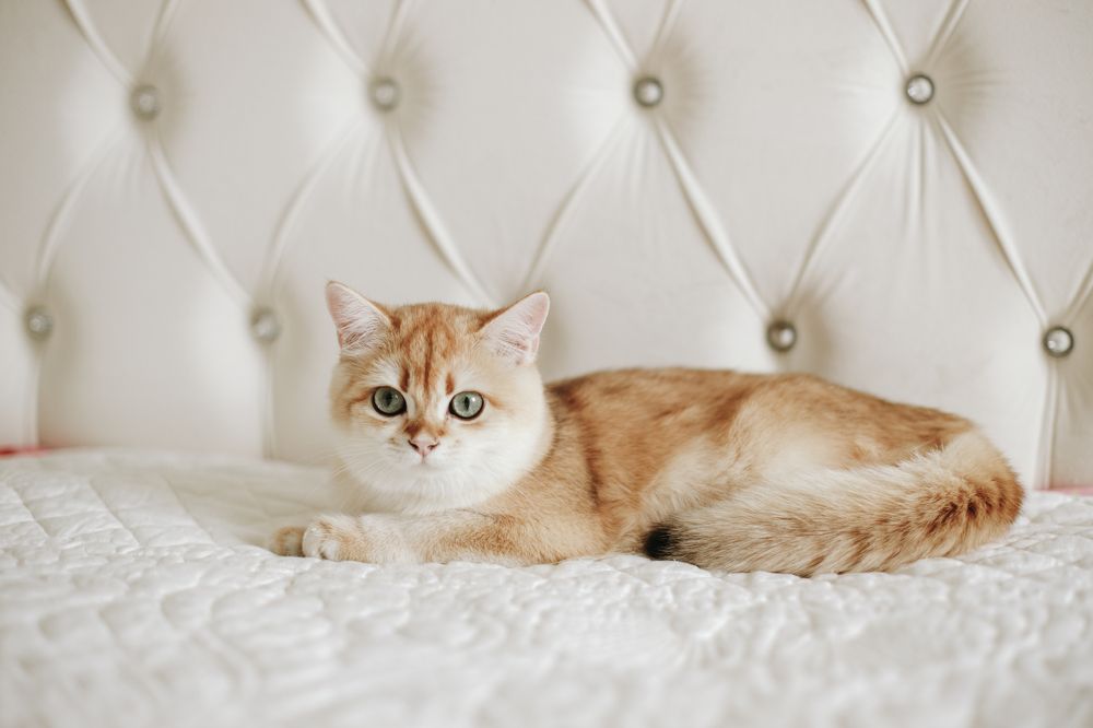 Photograph by Катерина