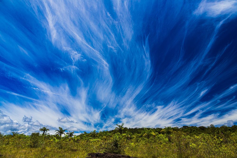 Photograph by Jorge Ivan Vasquez