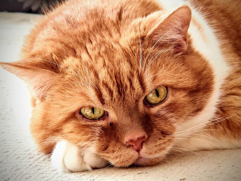 Photograph by Вячеслав Зайц