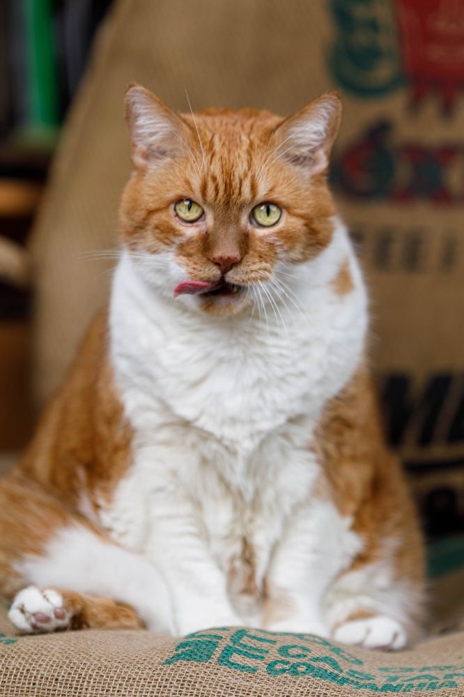 Photograph by Вячеслав Зайц