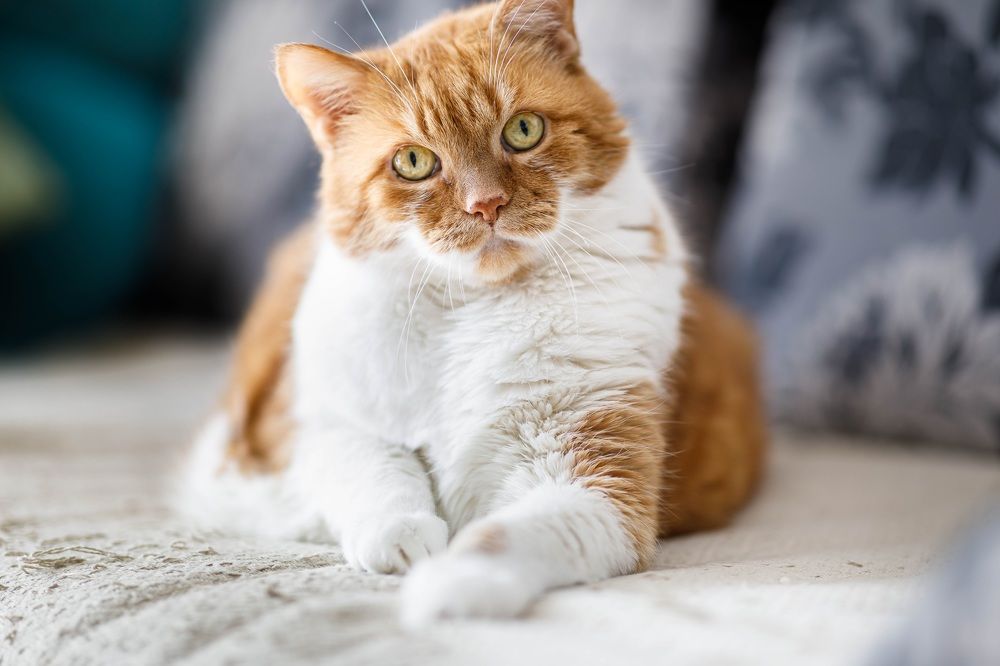 Photograph by Вячеслав Зайц