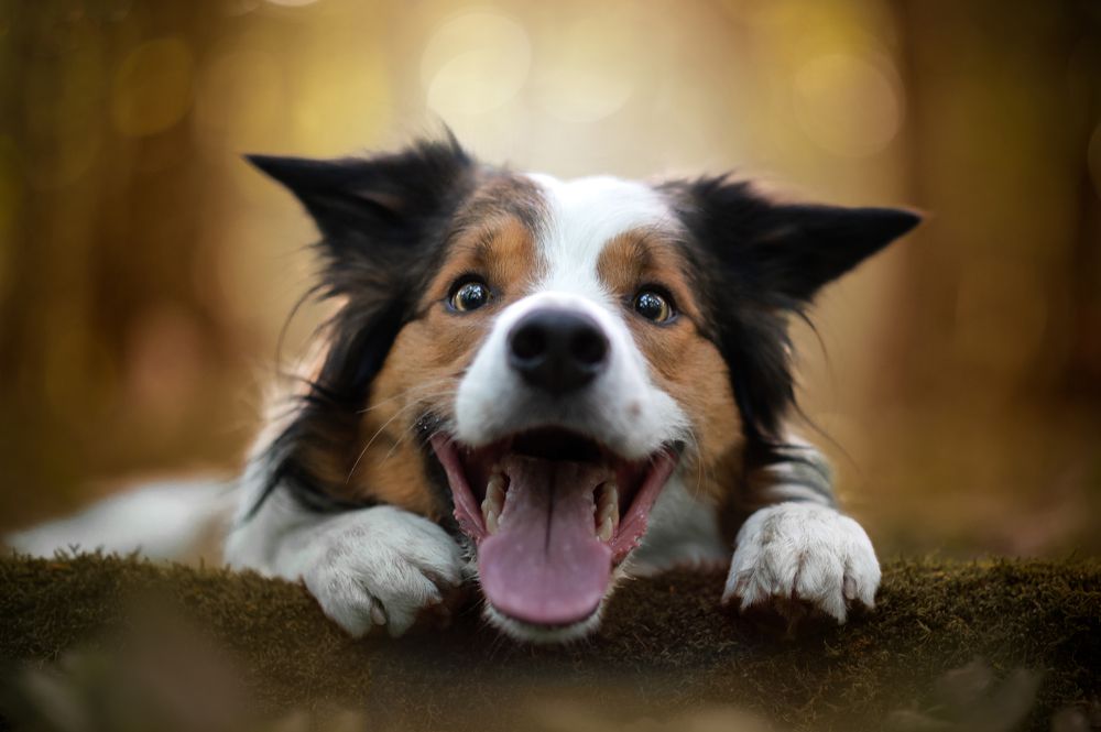 Photograph by Jakub Kudlovsky