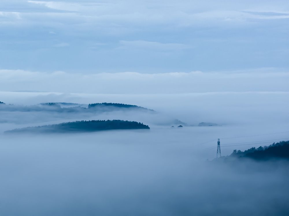 Photograph by Anja Vanderelst