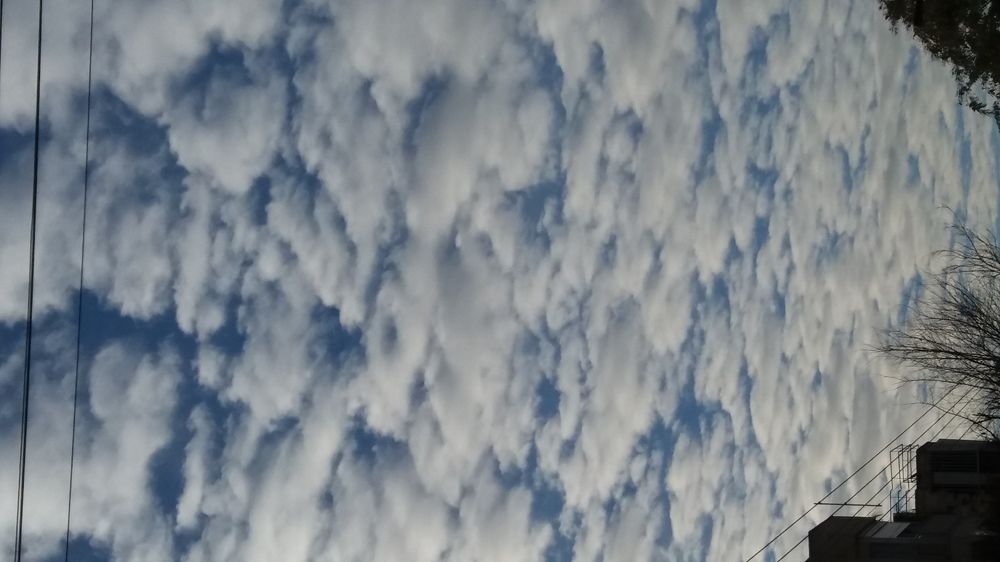 Фотография автора Ася Бабушкина