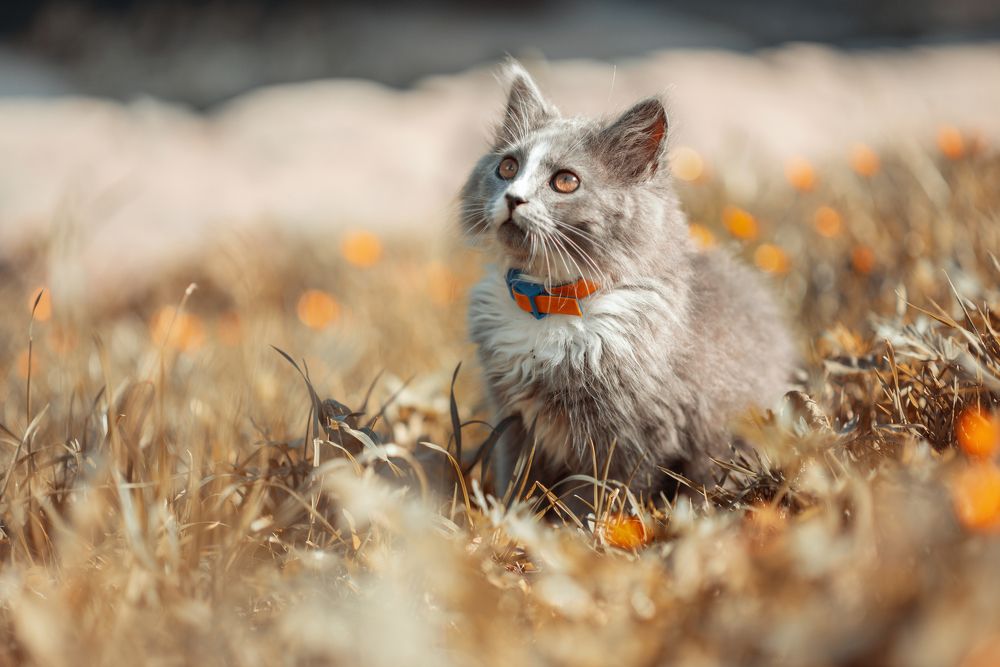 Photograph by Вячеслав Закревський